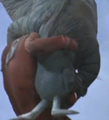 Thumbnail for version as of 04:53, January 6, 2015
