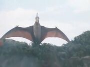 Kaiju Teranodon