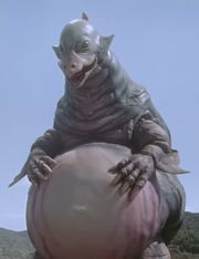 Zaranga mother