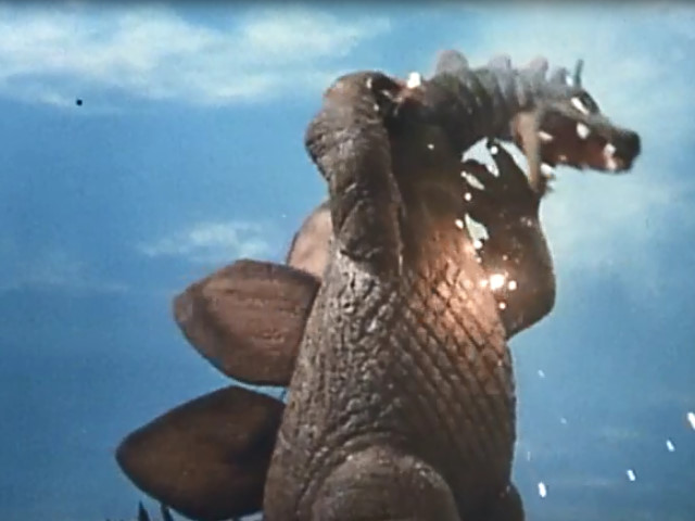 File:Steggygorus.jpg