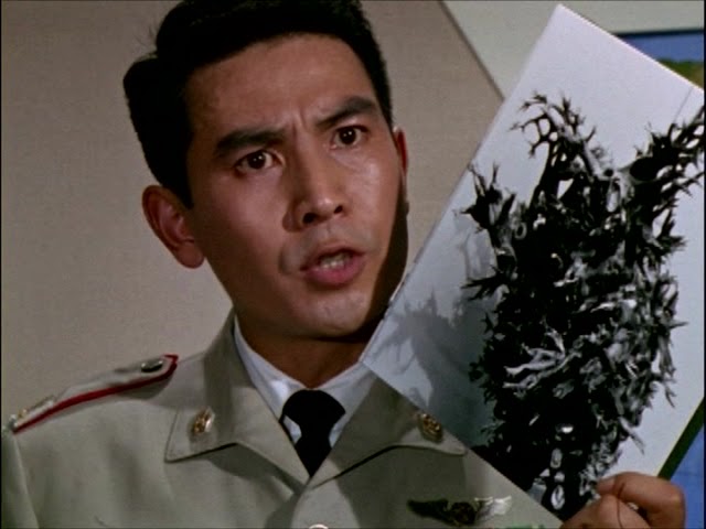 File:Alien-Waiell 1.jpg