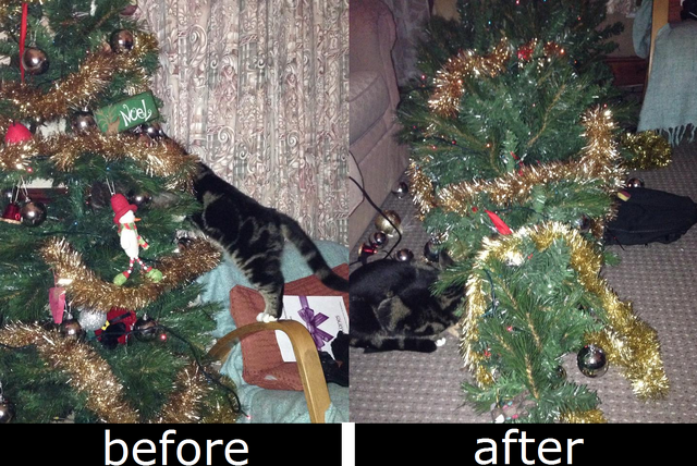 File:Before and after.png