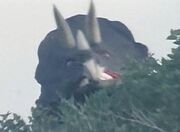 Triceratops Koseidon