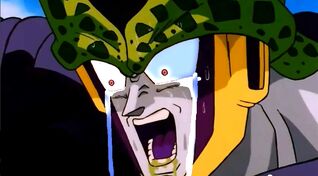 Cell Crying After Being Punched