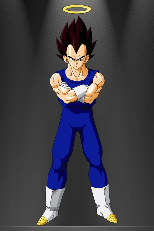Image Vegeta Halo jpg Ultra Dragon Ball Wiki FANDOM Powered By 