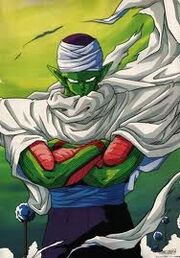 Piccolo3