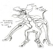 Kor suit