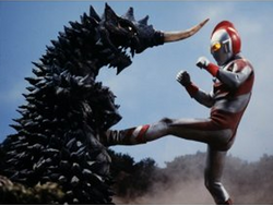 80 ep picture 18
