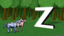 Z