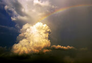 Rainbow Guard