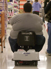 Fat-mobile