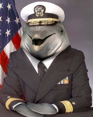 File:Dolphin commander.jpg