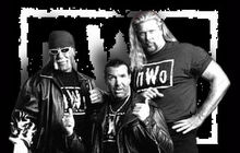 Nwo