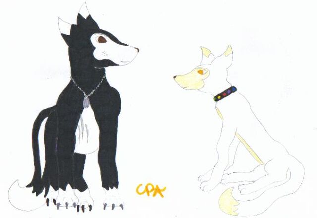 File:Old Friends by rebelwolfchris.jpg