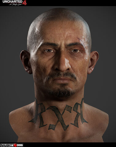 File:Gustavo head model.jpg