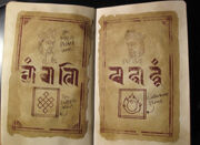 Uncharted-journal14