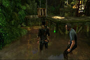 Borneo camp.jpg
