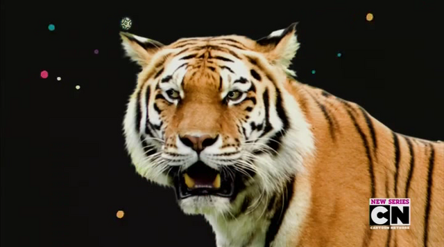 File:GRFT 16.png