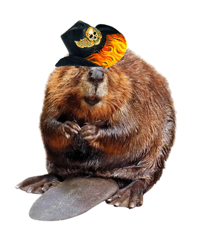 File:BuckNorris.png