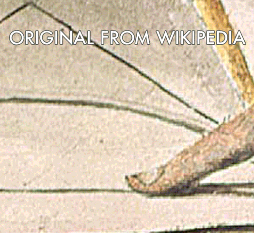 File:Newronartefact.gif