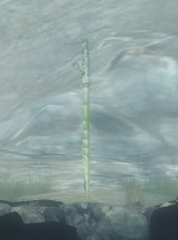 Longstick