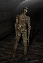 Angelo appearance