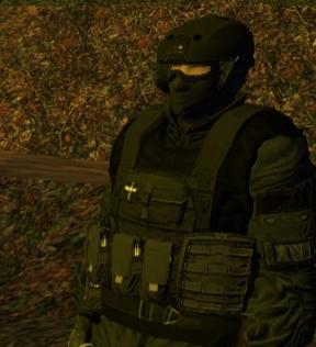 File:SWAT.jpg