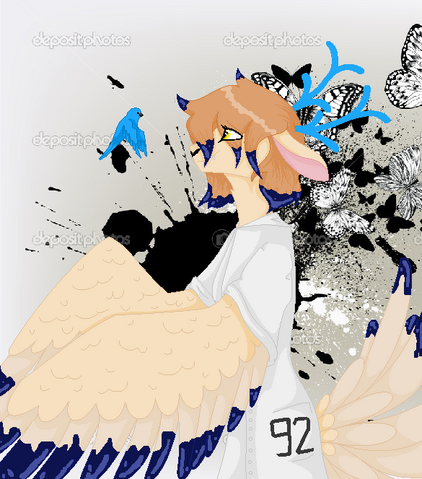 Файл:.....png