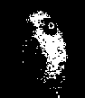 Flowey's face.gif