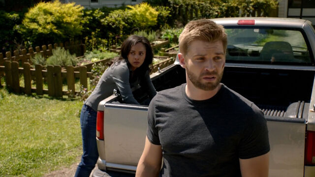 Archivo:Scnet dome2x01 0480.jpg