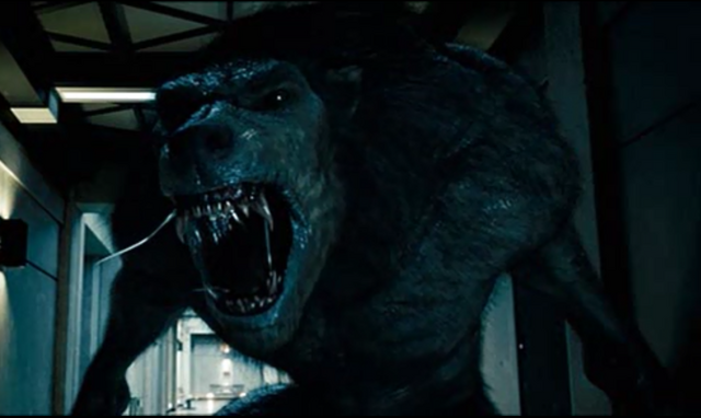 Archivo:Quintlycan.png