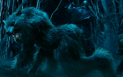 Loup-Garou.png
