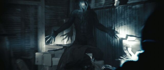 File:Purge 3.jpg