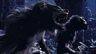 Underworld-evolution-20060120044600152 640w.jpg