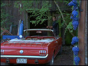 Günnis-Mustang-F01-03.jpg