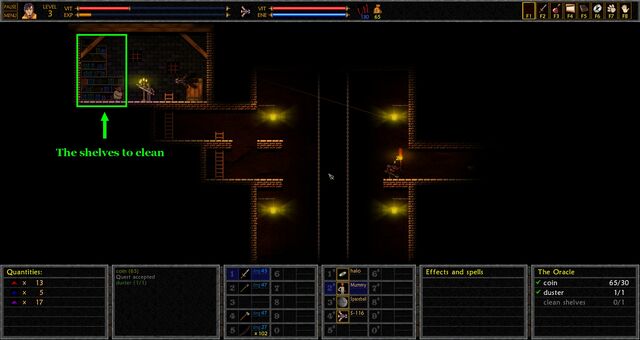 File:The Oracle Quest Shelves.jpg
