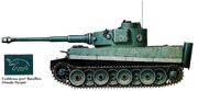 Tiger100