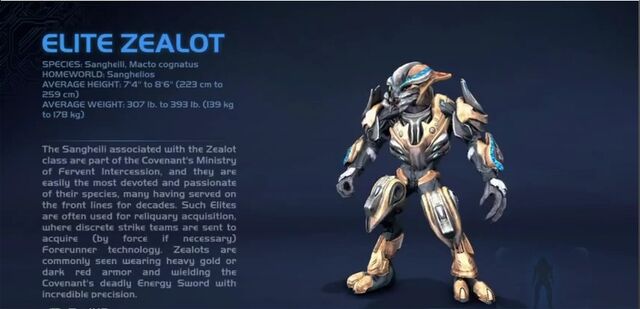 File:!Elite Zealot.jpg