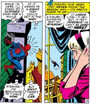 Peter Parker 527.jpg