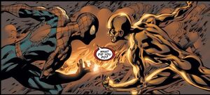 Peter Parker 2392.jpg