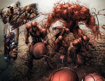 Carnage USA 1 Av 2.jpg