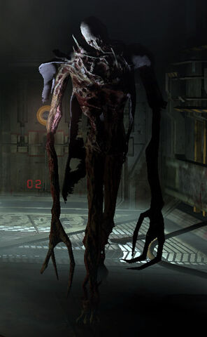 File:Divider DS2.jpg