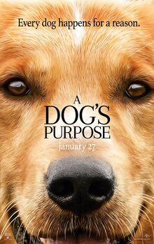 A Dog's Purpose (film)