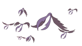 Aves.png