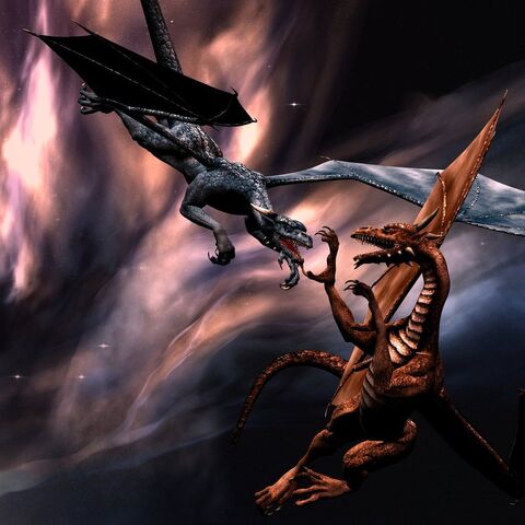 File:Fight.jpg