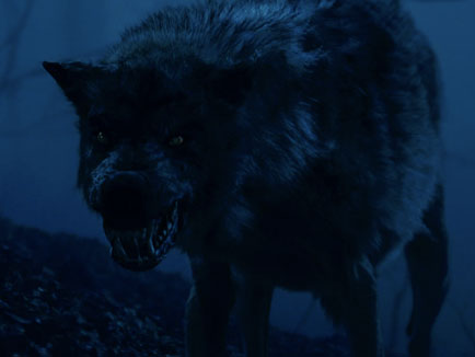 File:Wolves site.jpg