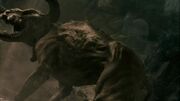 Minotaur