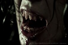 PX Aswang