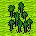 Thicket
