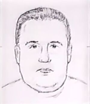 Boston rapist